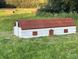 Repainted cross country jump 9